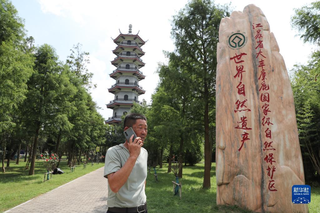 银河线上视讯
